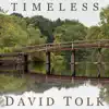 David Tolk - Timeless (feat. Steven Sharp Nelson) - Single